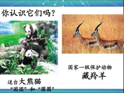 初中生物七上1.1《认识我们身边的生物和动物》 (共36张PPT)