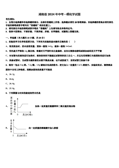 湖南省2024年中考一模化学试题含解析