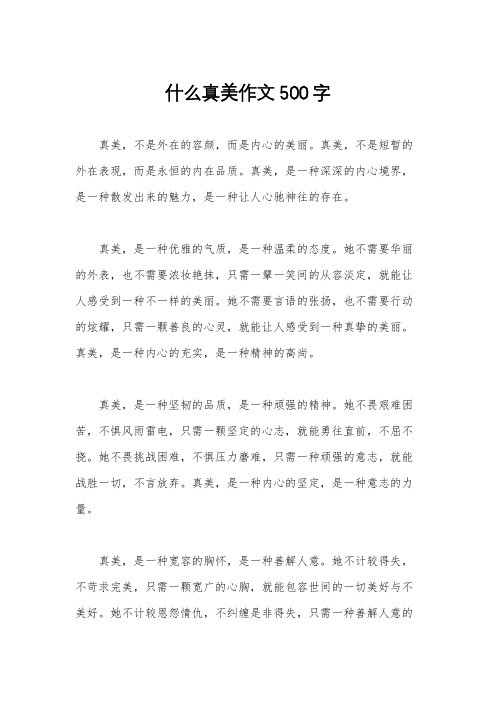 什么真美作文500字