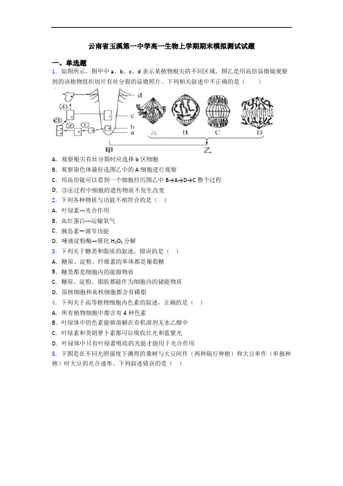 云南省玉溪第一中学高一生物上学期期末模拟测试试题