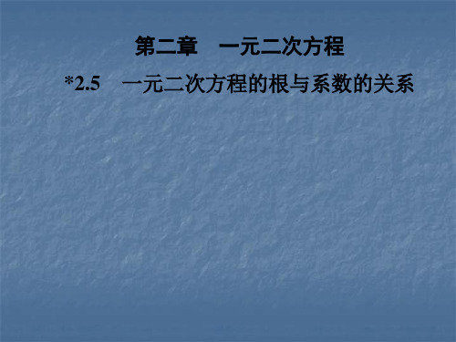 秋北师大版九年级数学上册习题课件：2.5 一元二次方程的根与系数的关系(共22张PPT)