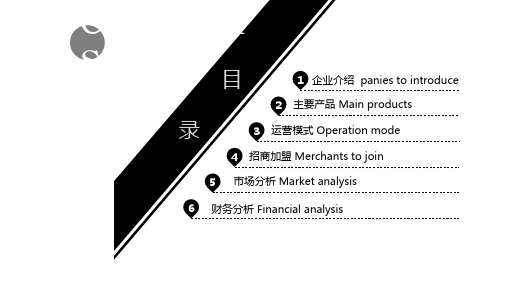 企业招商加盟手册经典高端PPT课件模板