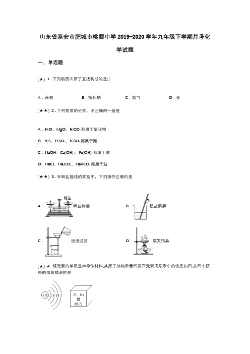 山东省泰安市肥城市桃都中学2019-2020学年九年级下学期月考化学试题(word无答案)