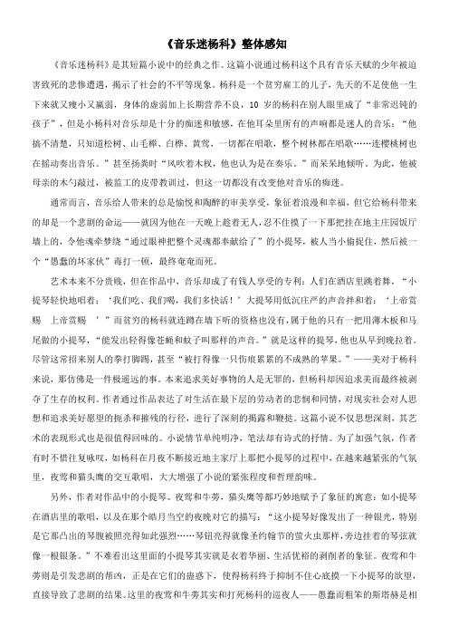 〖2021年整理〗《音乐迷杨科》整体感知