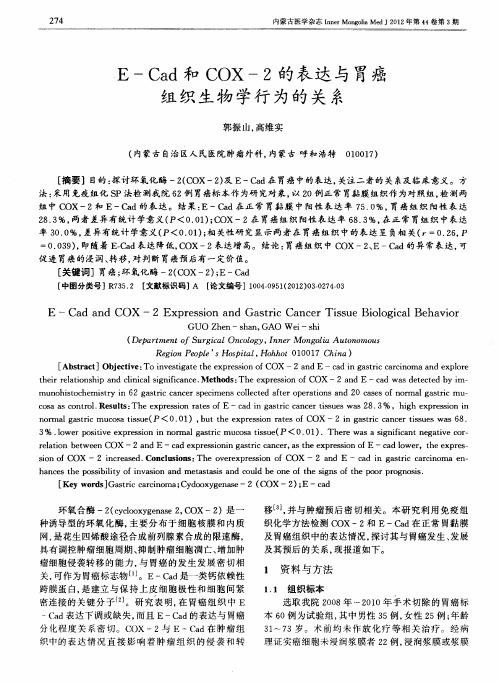 E-Cad和COX-2的表达与胃癌组织生物学行为的关系