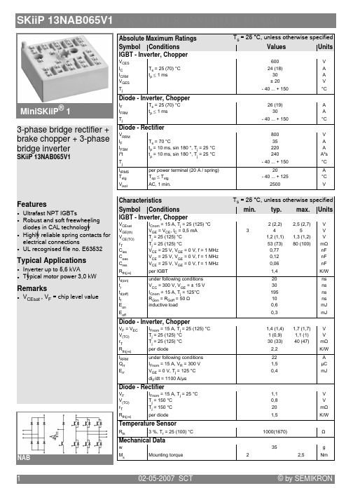 SKIIP13NAB065V1中文资料