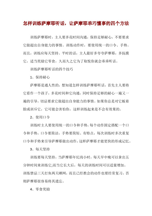 怎样训练萨摩耶听话,让萨摩耶乖巧懂事的四个方法