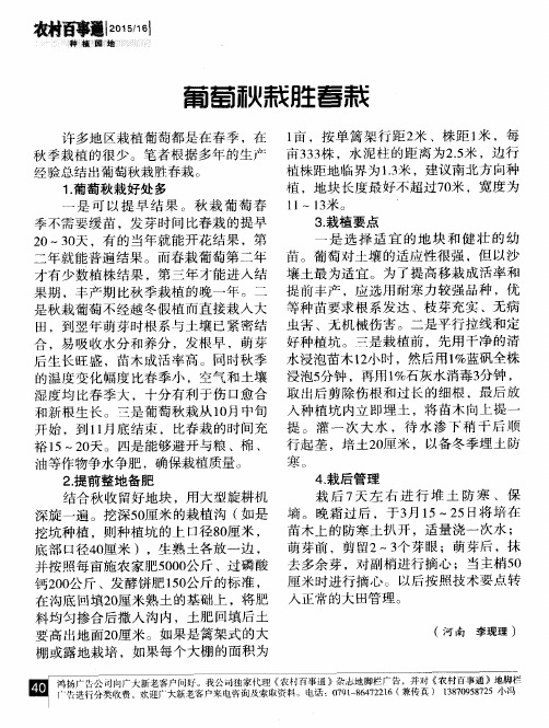 葡萄秋栽胜春栽