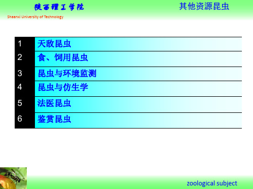 资源昆虫学-其他资源昆虫