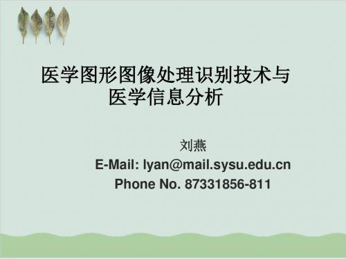 医学图形图像处理识别技术与医学信息分析PPT课件( 49页)