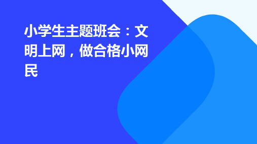 小学生主题班会：文明上网,做合格小网民