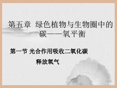 七年级生物上册 第三单元 第五章 第一节 光合作用吸收二氧化碳释放氧气课件 新版新人教版2