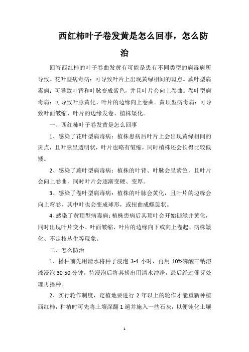 西红柿叶子卷发黄是怎么回事,怎么防治