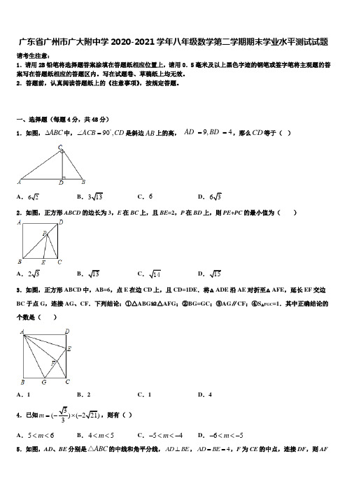 广东省广州市广大附中学2020-2021学年八年级数学第二学期期末学业水平测试试题含解析