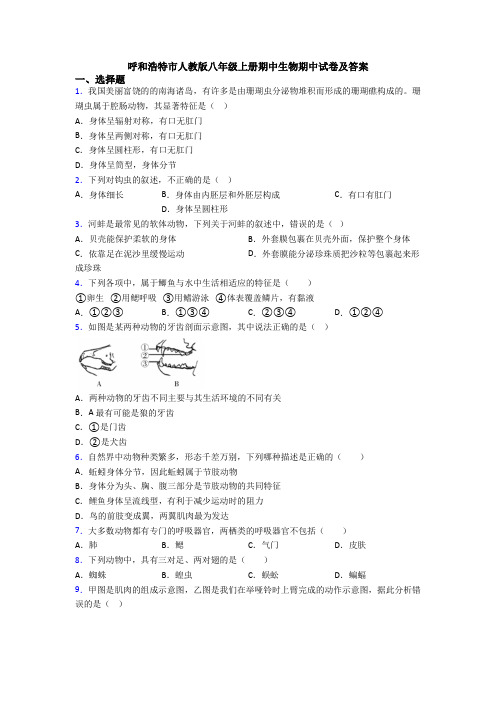 呼和浩特市人教版八年级上册期中生物期中试卷及答案