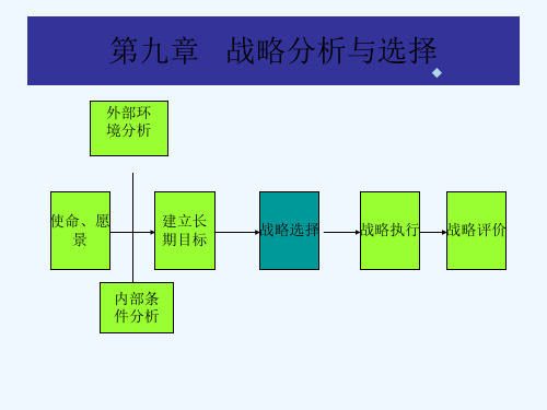 第9、10章 战略分析与