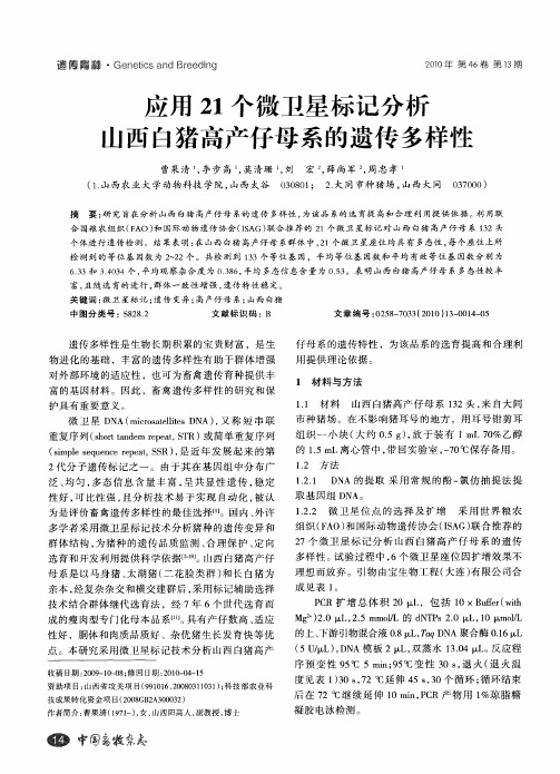 应用21个微卫星标记分析山西白猪高产仔母系的遗传多样性