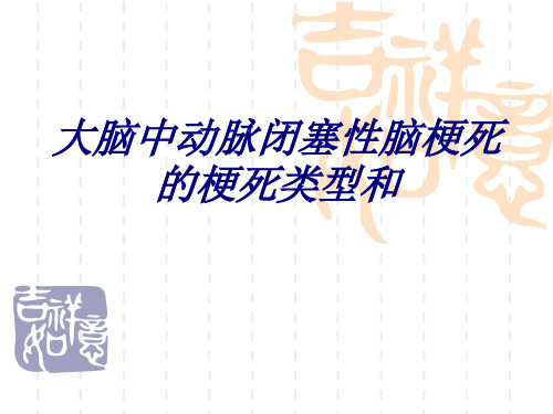 大脑中动脉闭塞性脑梗死的梗死类型和讲义