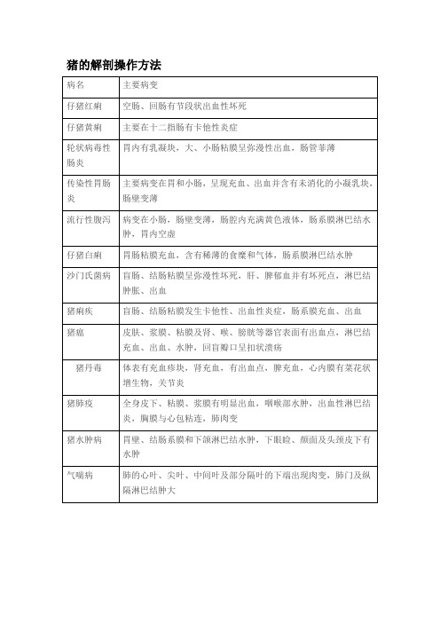 猪解剖流程及诊断图