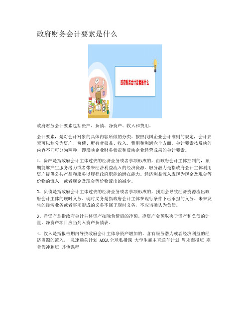 政府财务会计要素是什么