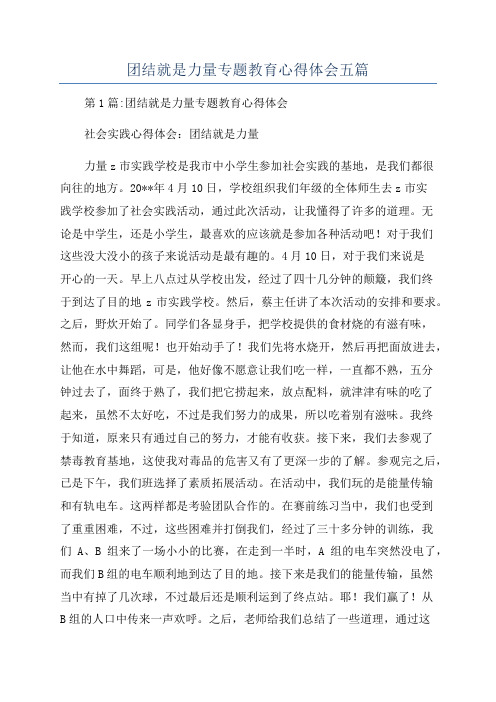 团结就是力量专题教育心得体会五篇