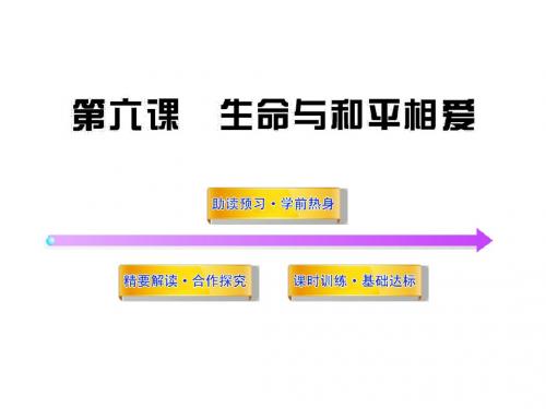 初中语文2018年苏教版九年级下册PPT课件 第二单元 生命与和平相爱