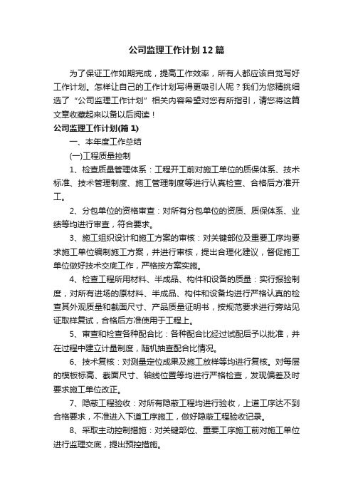 公司监理工作计划12篇