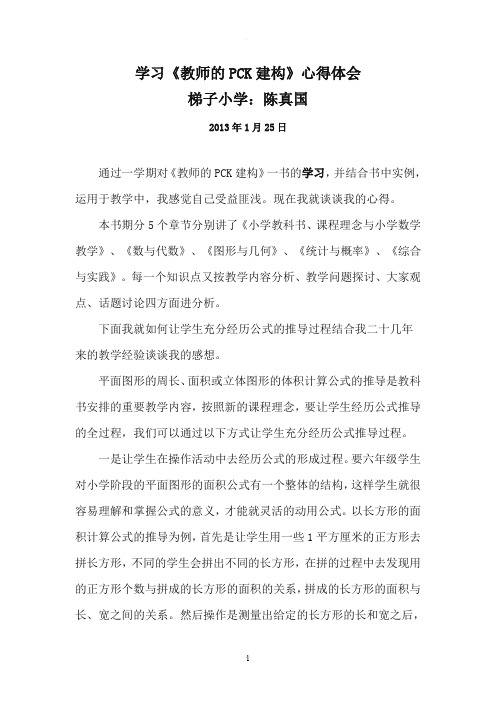 学习教师PCK心得体会