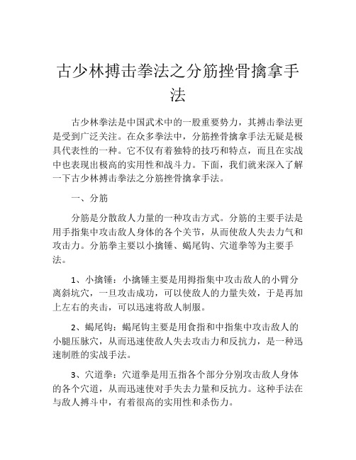 古少林搏击拳法之分筋挫骨擒拿手法