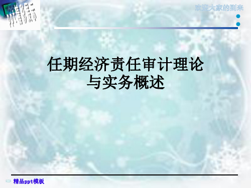 任期经济责任审计理论与实务概述