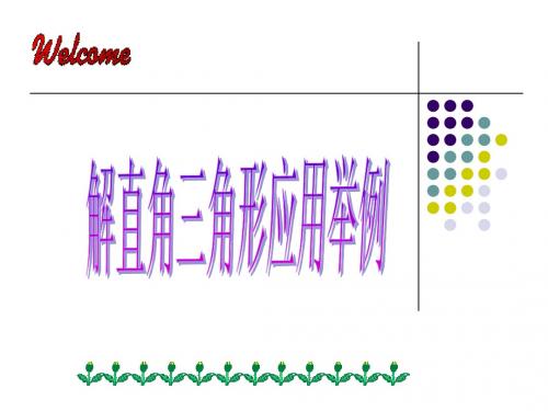 4.3解直角三角形应用湘教版