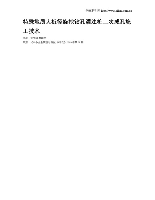 特殊地质大桩径旋挖钻孔灌注桩二次成孔施工技术