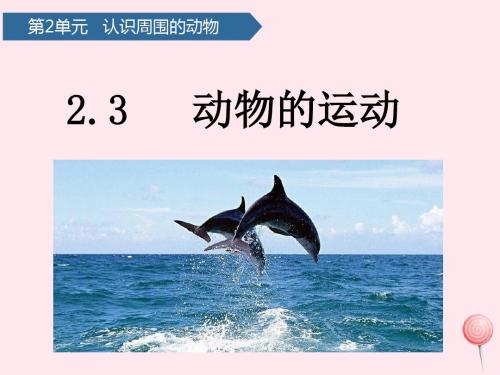 一年级科学下册第二单元认识周围的动物6动物的运动课件青岛版六三制