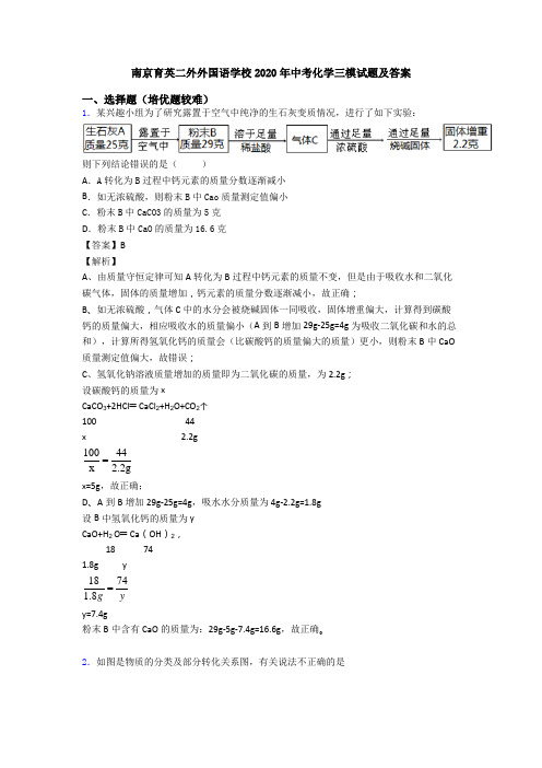 南京育英二外外国语学校2020年中考化学三模试题及答案