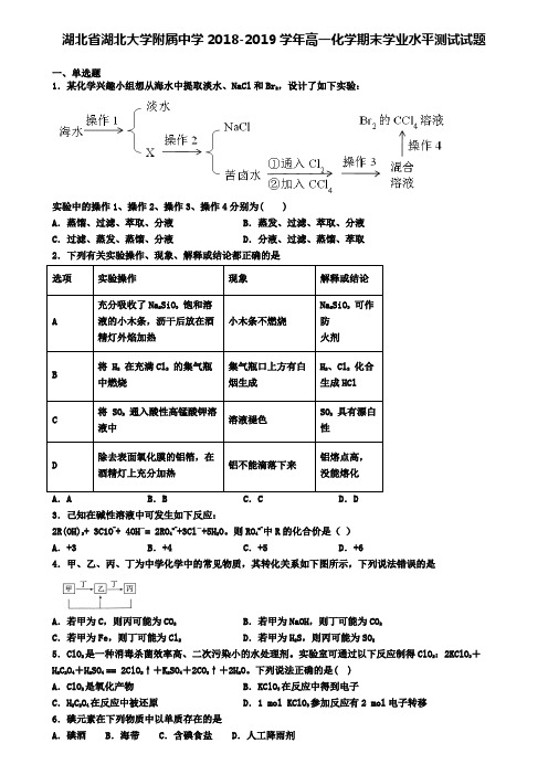 湖北省湖北大学附属中学2018-2019学年高一化学期末学业水平测试试题