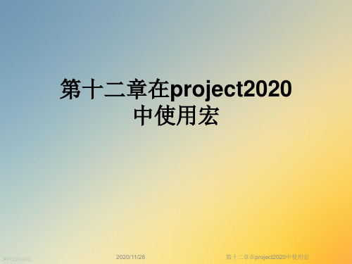 第十二章在project2020中使用宏