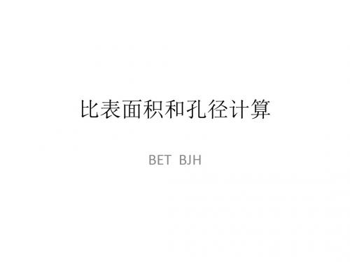 BET比表面积和孔径