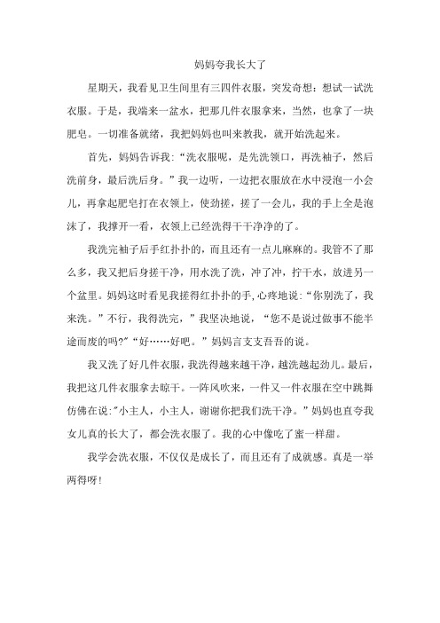 什么夸我长大了作文500字