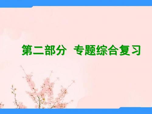 广东省河源市中英文实验学校中考数学专题复习 专题二 综合型专题--第三课时 分类讨论专题课件