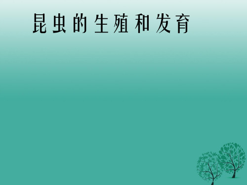 八年级生物下册 第七单元 第一章 第二节 昆虫的生殖和发育课件4 (新版)新人教版