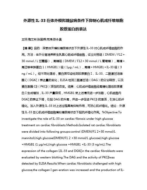 外源性IL-33在体外模拟糖尿病条件下抑制心肌成纤维细胞胶原蛋白的表达