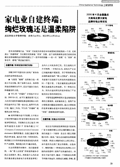 家电业自建终端：绚烂玫瑰还是温柔陷阱