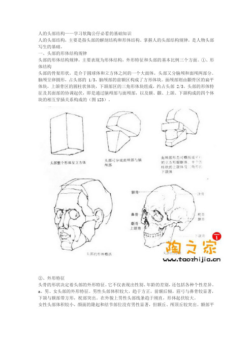 人体头部特征