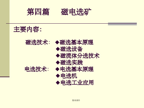 磁电选矿(NXPowerLite)