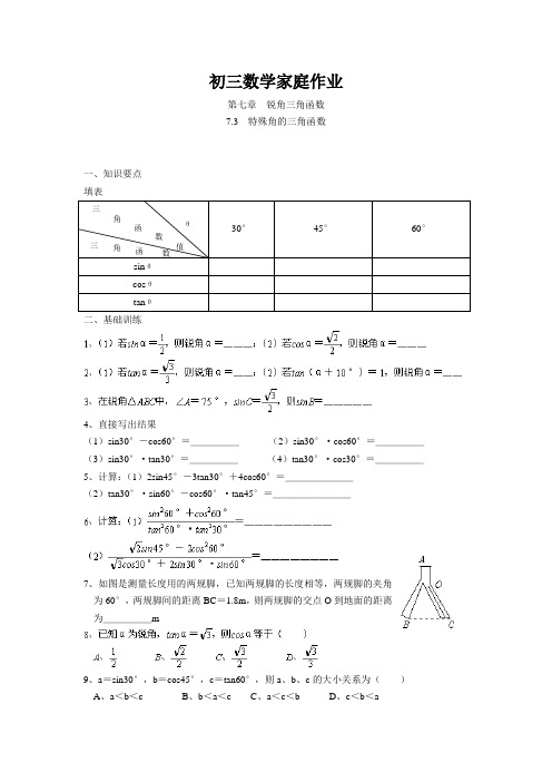 初三数学家庭作业 特殊角的三角函数