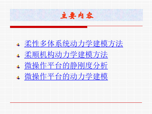 微操作平台的动力学建模与分析PPT精品文档28页