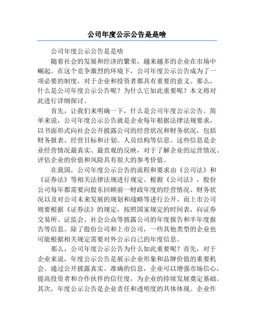 公司年度公示公告是是啥