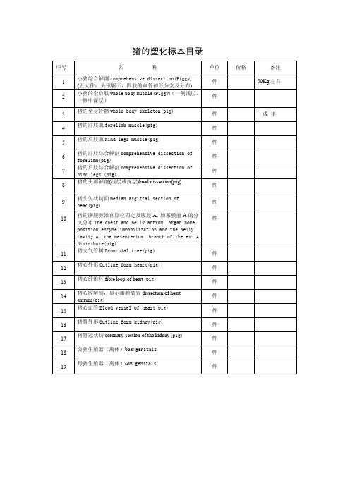 猪的塑化标本目录