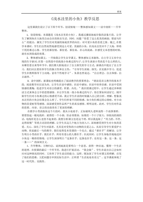 2020年人教版小学语文二年级上册28《浅水洼里的小鱼》教学反思2