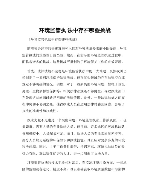 环境监管执 法中存在哪些挑战